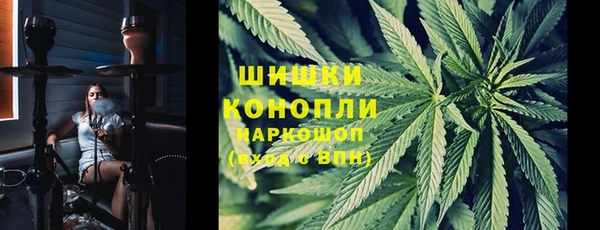 спайс Алексин