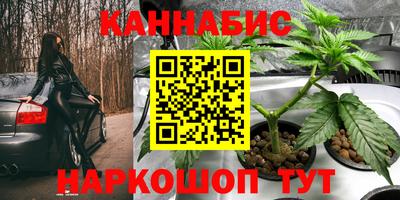 бошки Кинель