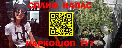 бошки Кинель